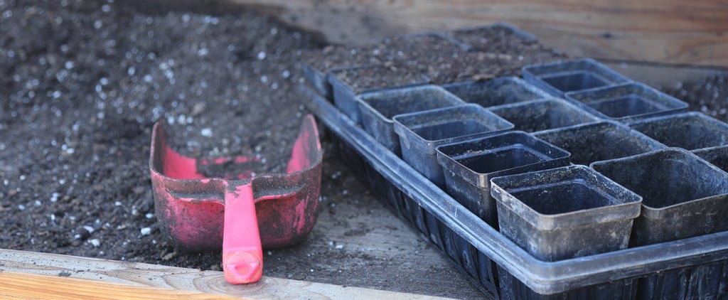 12 Intriguing Facts All Beginner Gardeners Should Know