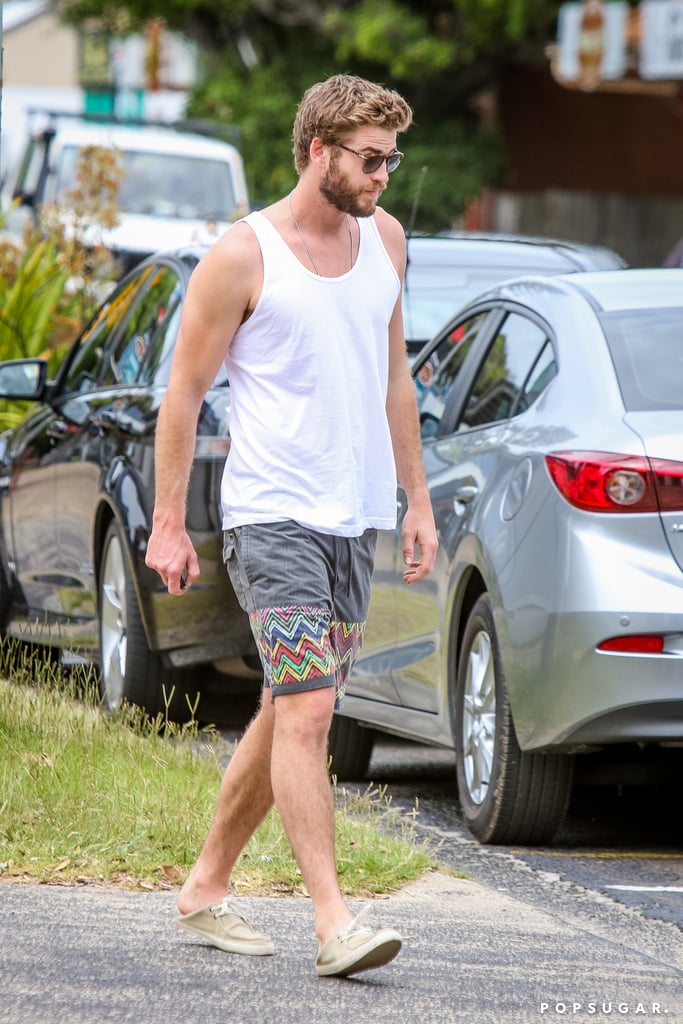 Chris and Liam Hemsworth in Australia December 2015