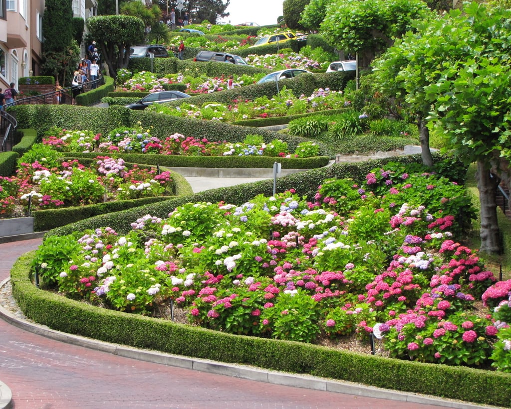 Drive Down Lombard Street