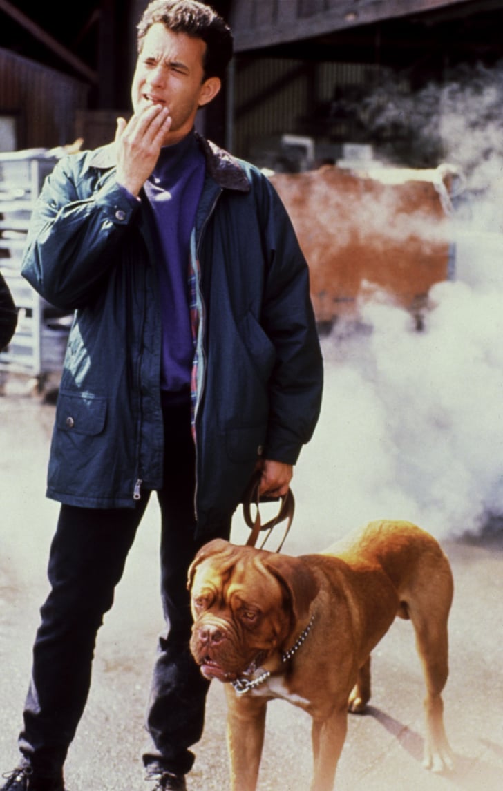 Hooch from Turner & Hooch 13 Fun Facts About Your Favorite Movie and TV Animals POPSUGAR