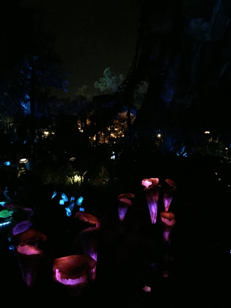 Pandora World of Avatar at Night