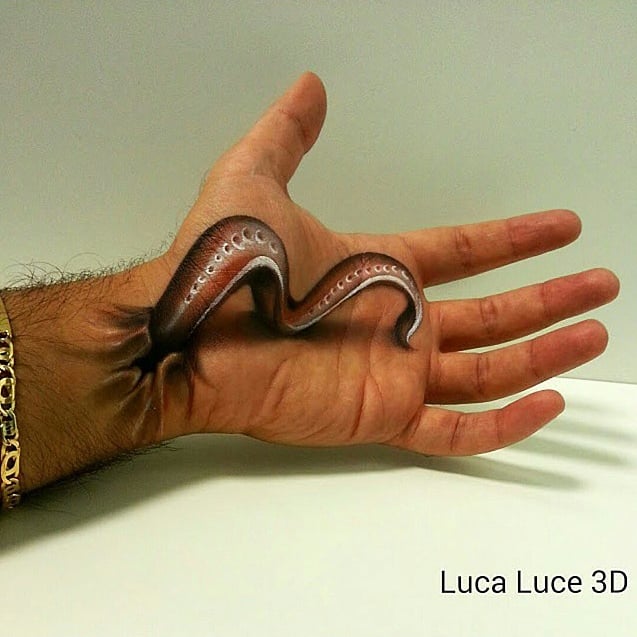 Nothing like seeing this to dislike worms even more.