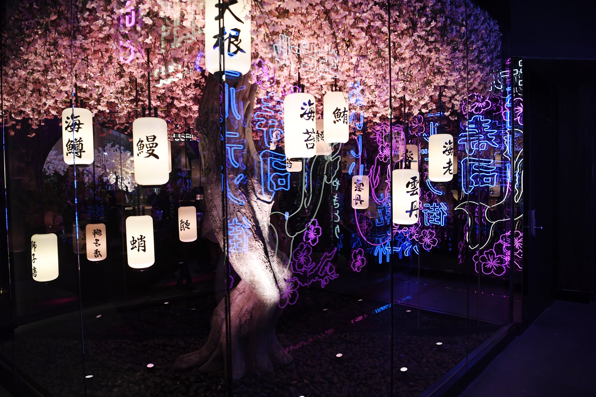 LAS VEGAS, NEVADA - JUNE 25:  A general view at the grand opening of WAKUDA at the Venetian Resort Las Vegas on June 25, 2022 in Las Vegas, Nevada. (Photo by Denise Truscello/Getty Images for WAKUDA at The Venetian Resort Las Vegas)