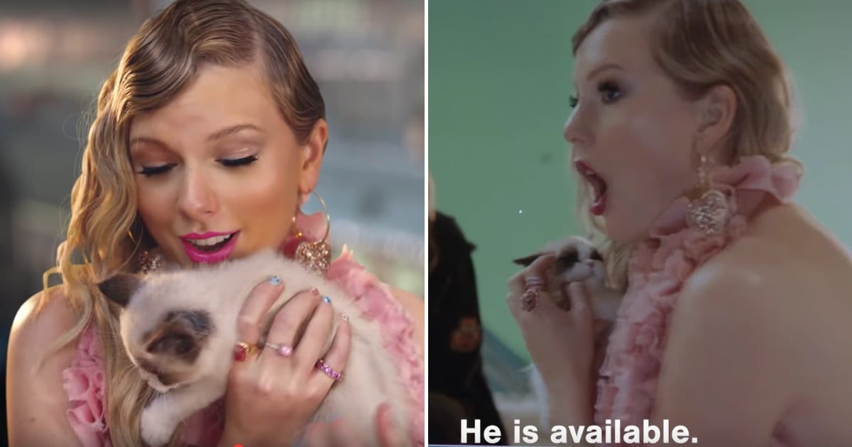 Taylor Swift Meeting Her Cat Benjamin Button On Me Video Popsugar Celebrity Uk 