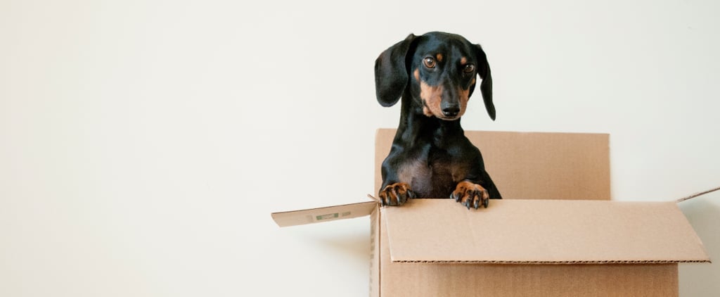 Renting Plastic Moving Bins