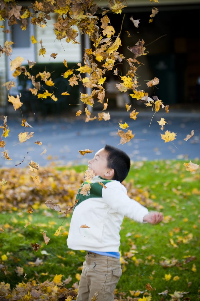 Slow-Motion Leaf Toss