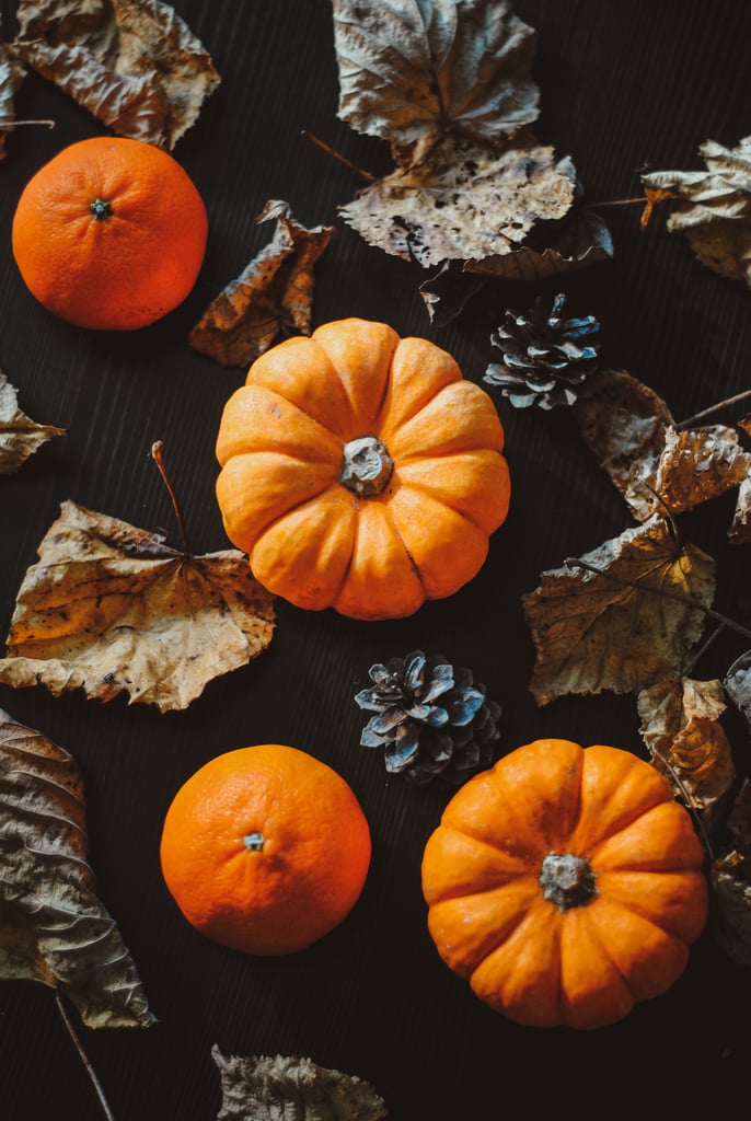 Fall Background: Pumpkins and Oranges iPhone Wallpaper