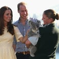 42 Pictures That Prove the Royal Family Is Full of Animal-Lovers