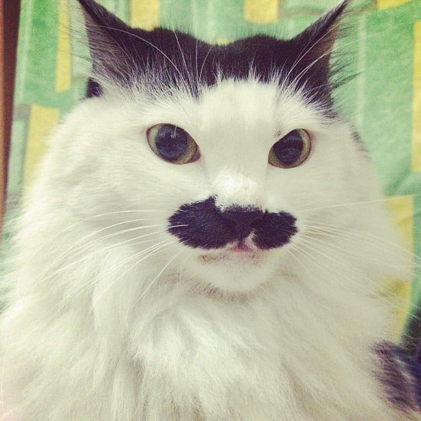 Can someone say "mustache envy"? You thought your dad had the coolest mustache in the world . . . until you met this guy.
Source: Instagram user xixilan_788