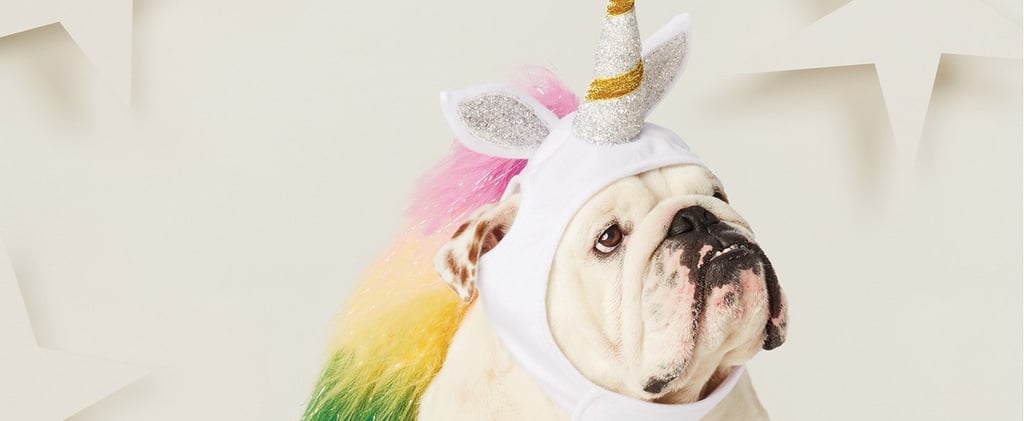 Best Target Pet Halloween Costumes 2018