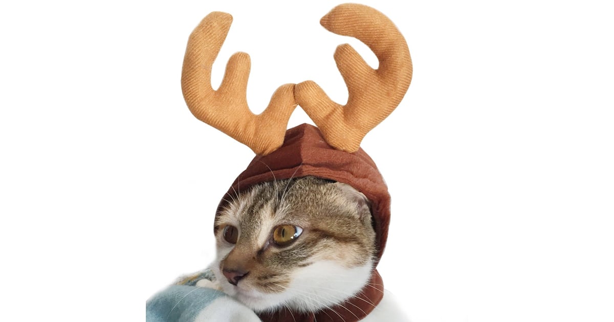 Wildforlife Pet Reindeer Costume Hat Holiday Pet Costumes on Amazon