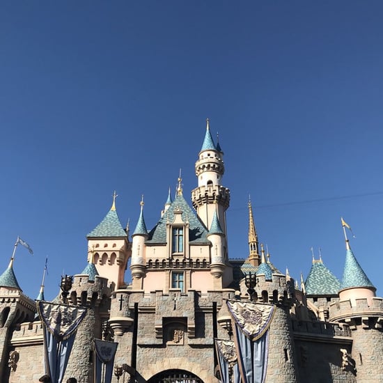 How Does Disney Rider Switch Work?