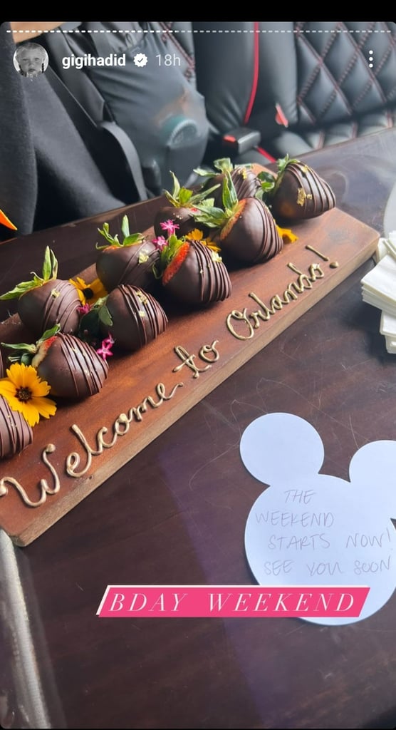 Photos of Gigi Hadid's 28th Birthday at Disney World