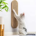 25 Genius Problem-Solving Products That Every Cat Owner Should Invest In