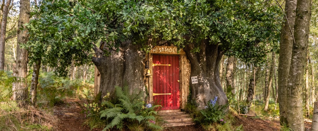 Book a Disney Winnie the Pooh Tree-House Airbnb in England