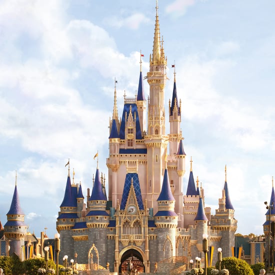 Photos of the New Cinderella's Castle at Walt Disney World