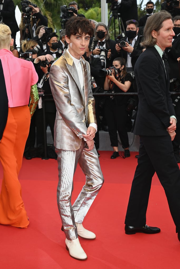 Timothée Chalamet Wears Silver Suit Outfit to Cannes: Photos