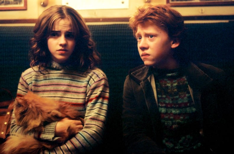 Crookshanks is actually Lily Potter's cat.