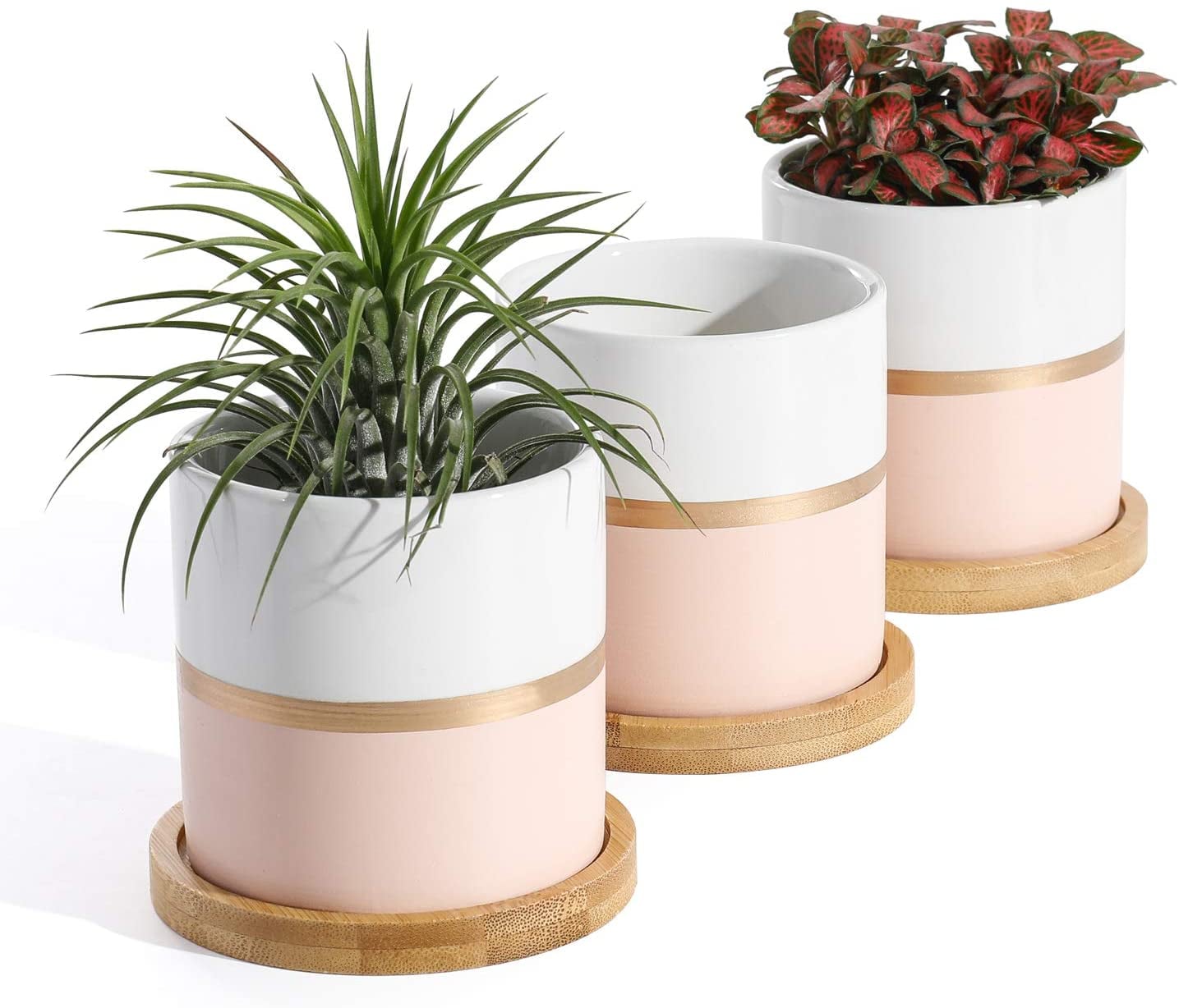Details about   Set of 6 Ceramic Succulent Plant Pot Wooden Pattern Succulent Planter Container 