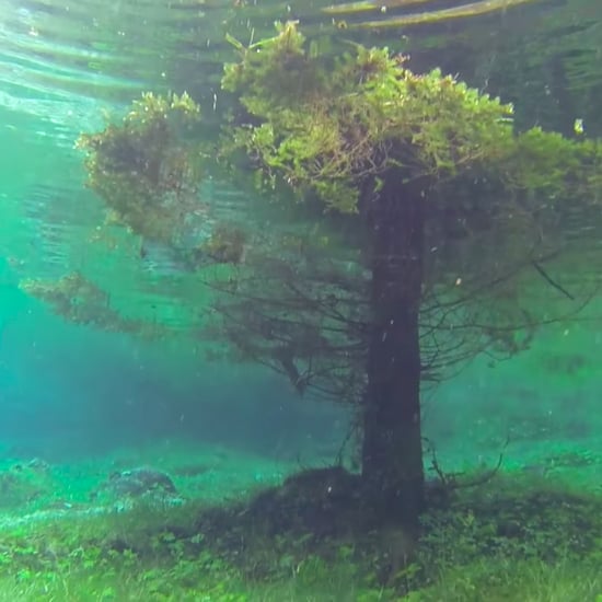 Underwater Park in Austria