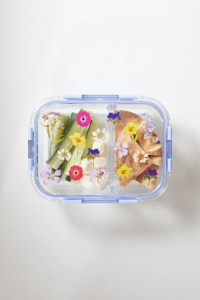 Large Graphic Glass Reusable To-Go Container