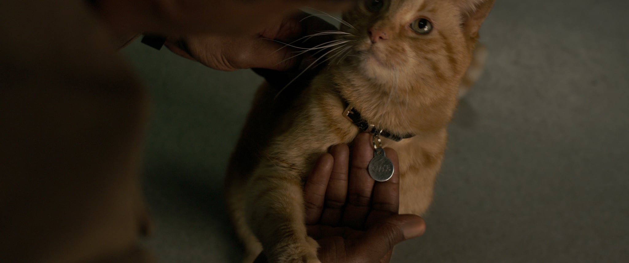 Goose collar sales captain marvel