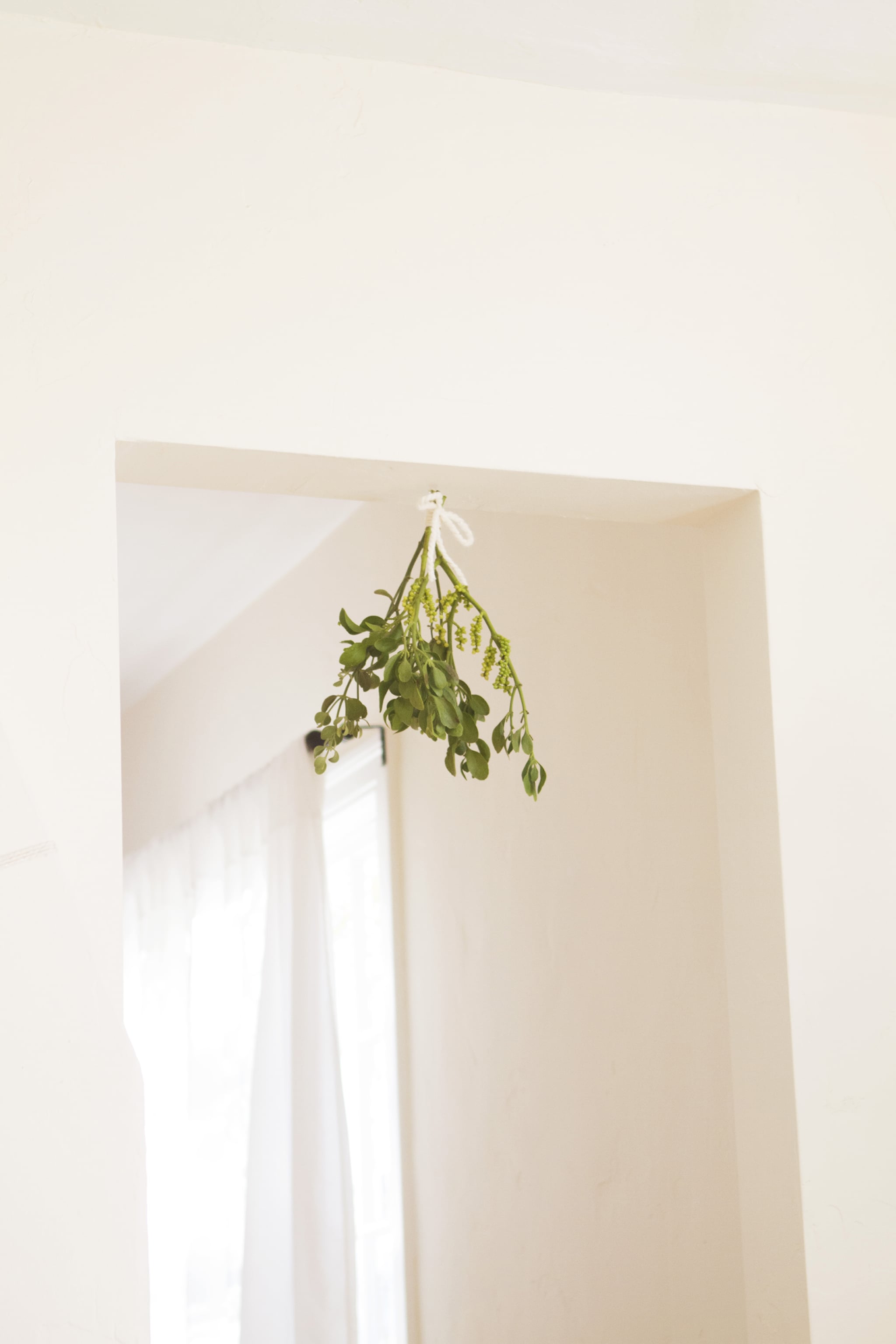 Mistletoe 30 Cozy Decorating Ideas Your Winter Home Needs