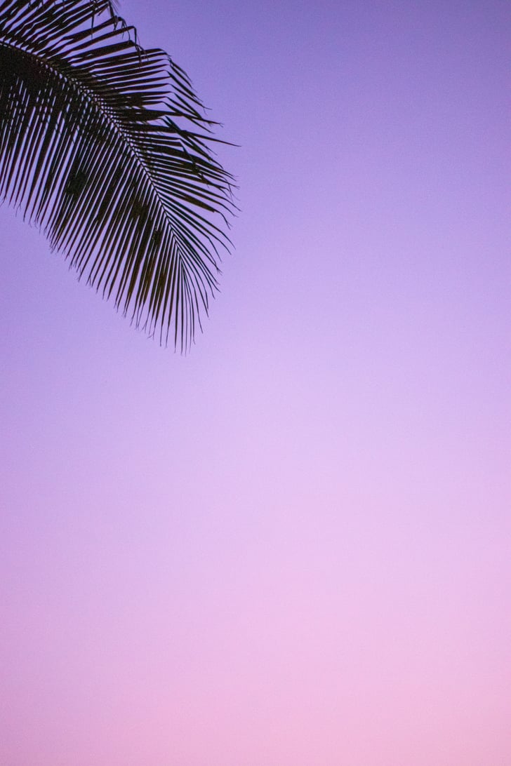 Tropical iPhone Wallpaper | Best iOS 14 Wallpaper Ideas ...