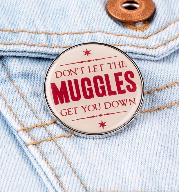 Don't Let the Muggles Get You Down Pin