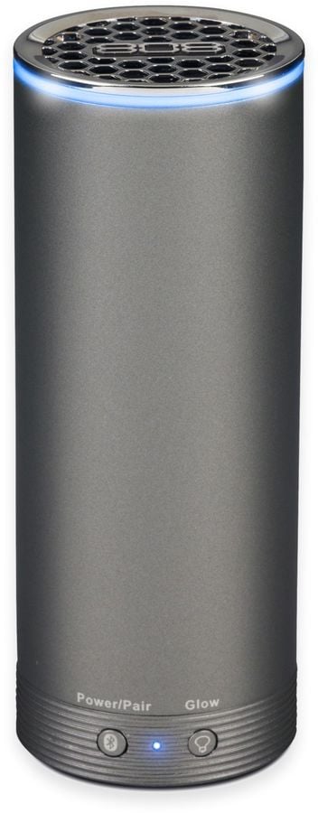 Bluetooth Wireless Speaker in Gray