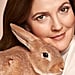 Drew Barrymore Garnier Leaping Bunny Interview