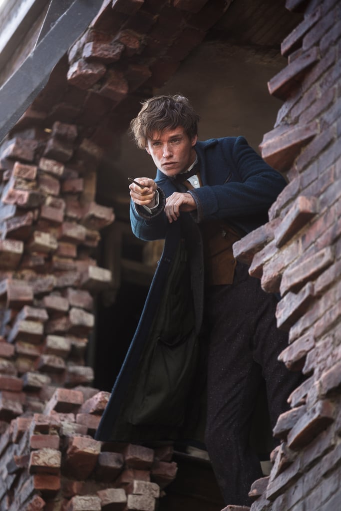 Fantastic Beasts and Where to Find Them Pictures
