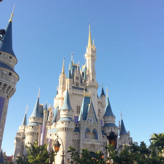 New Walt Disney World Attractions in 2019