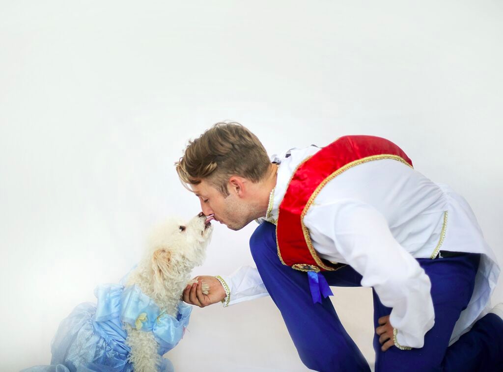 Dogs Dressed as Disney Princesses