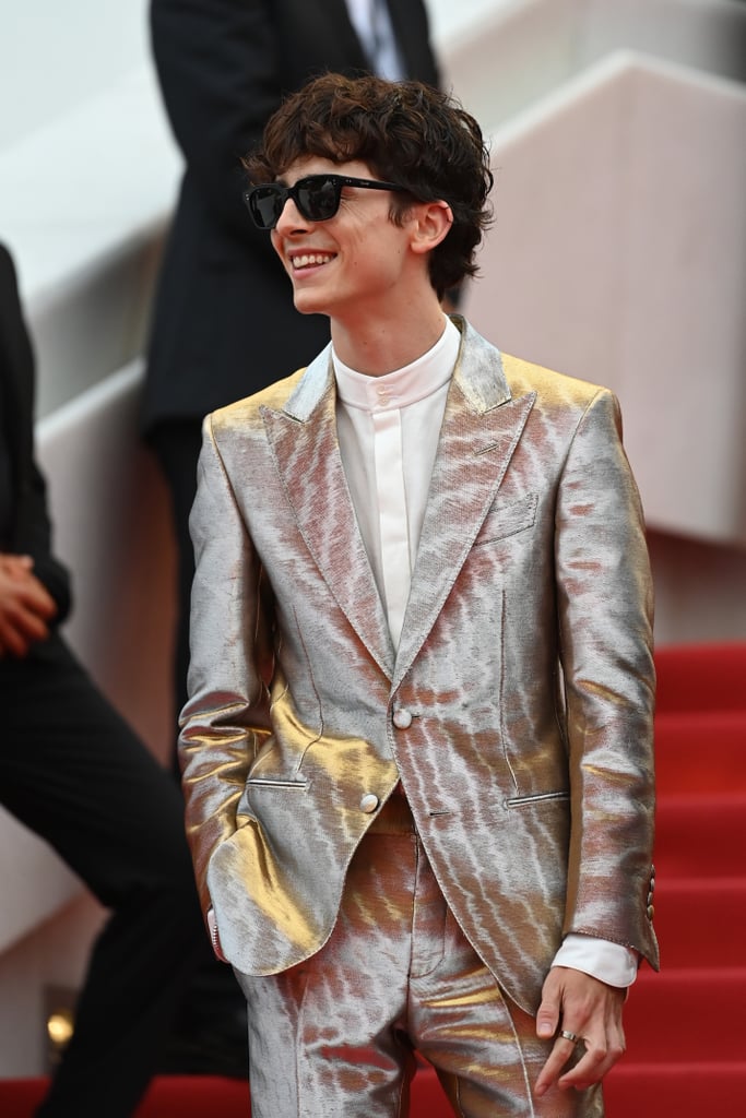 Timothée Chalamet Wears Silver Suit Outfit to Cannes: Photos