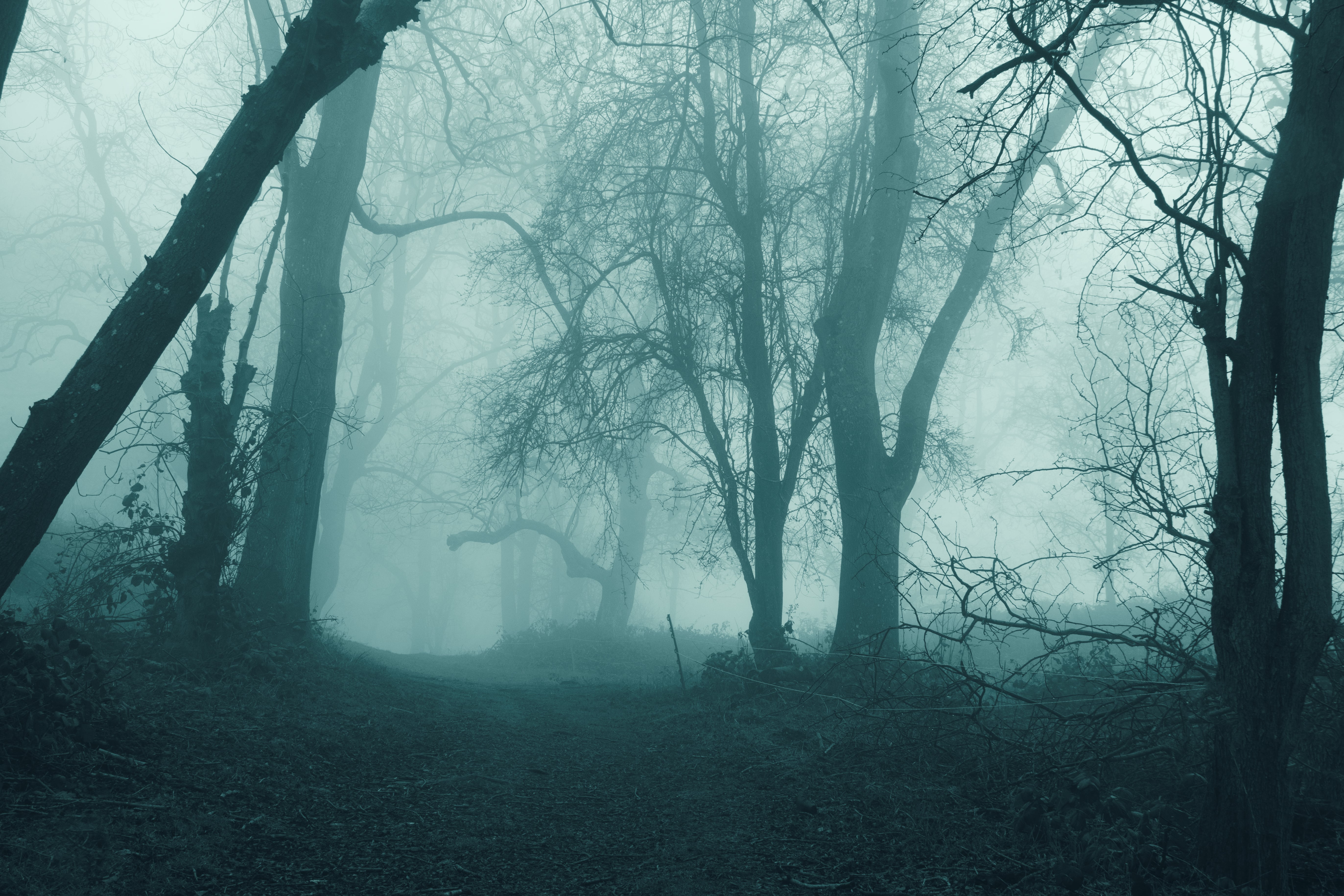 Halloween Zoom Backgrounds | PS Tech
