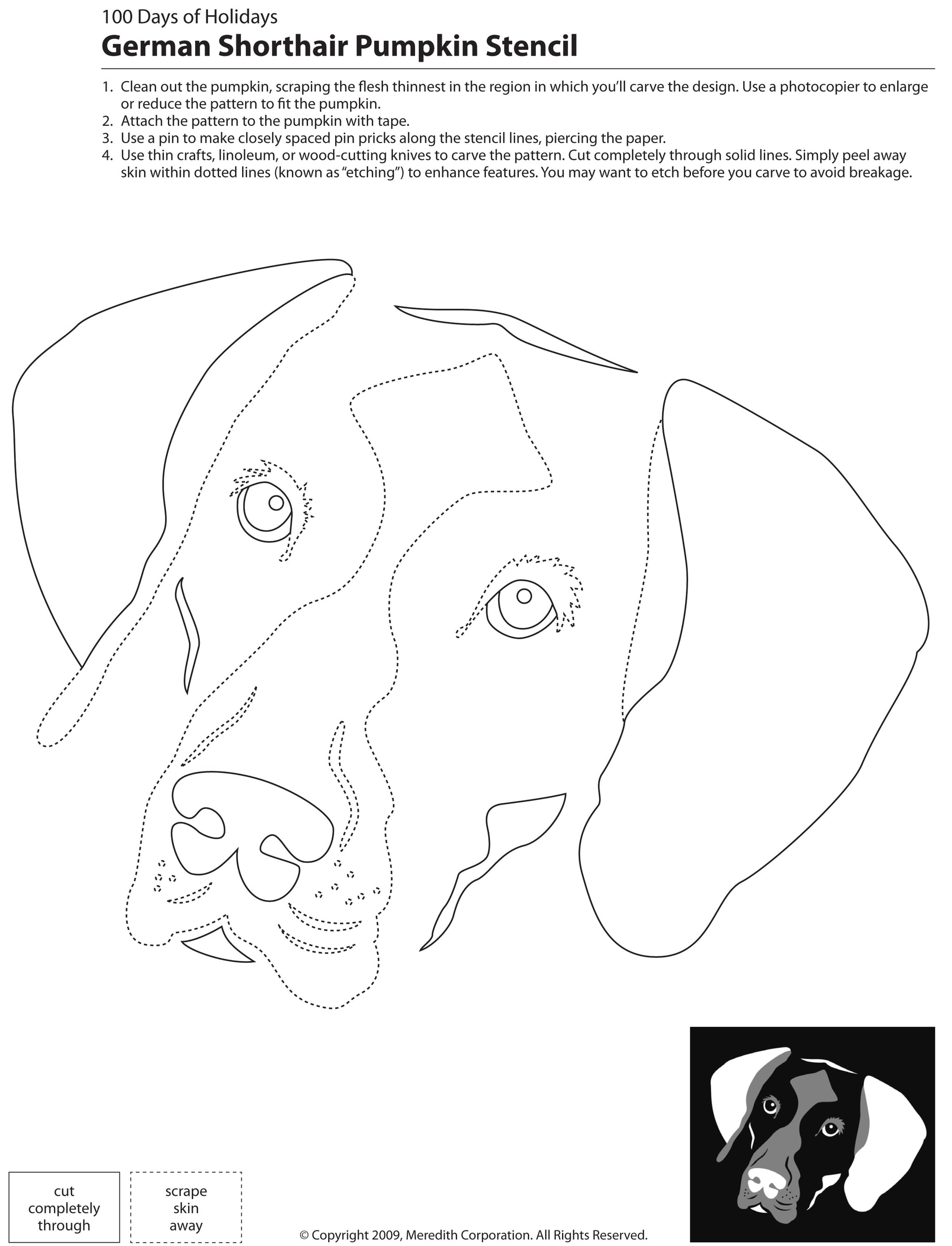 Downloadable Dog Breed Pumpkin Stencils Popsugar Pets
