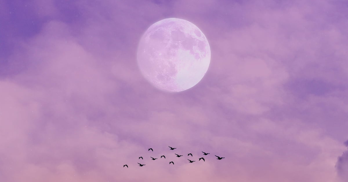 When May 2022's Super Flower Blood Moon Is & What It Means POPSUGAR