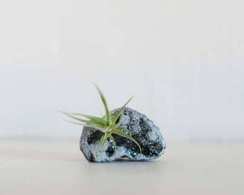 For Crystal Lovers and Plant Parents: Silver Aura Quartz Geode Air Plant Terrarium