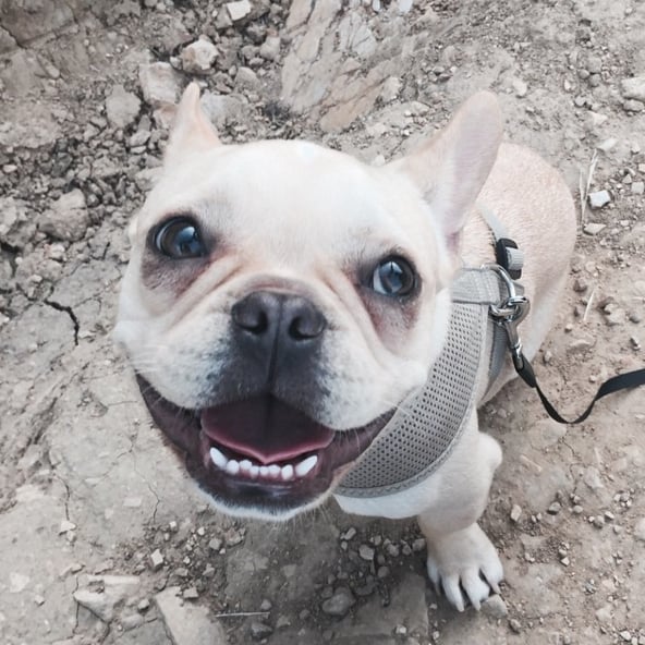 "#beau. No filter needed"