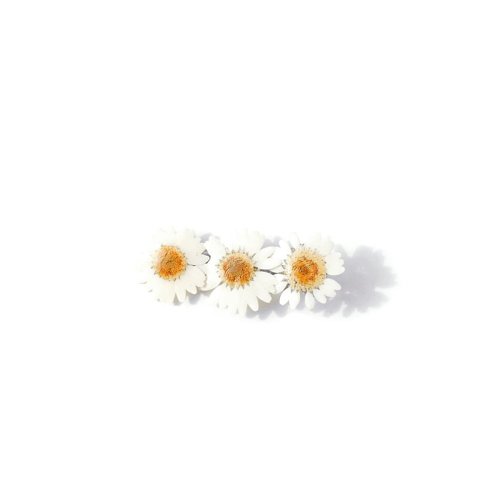 I'MMANY London *Real Flower* White Daisy Hair Clip