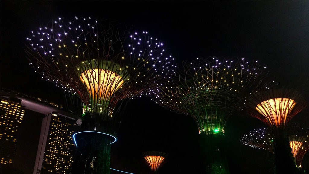 Virtually Tour the Gardens by the Bay in Singapore