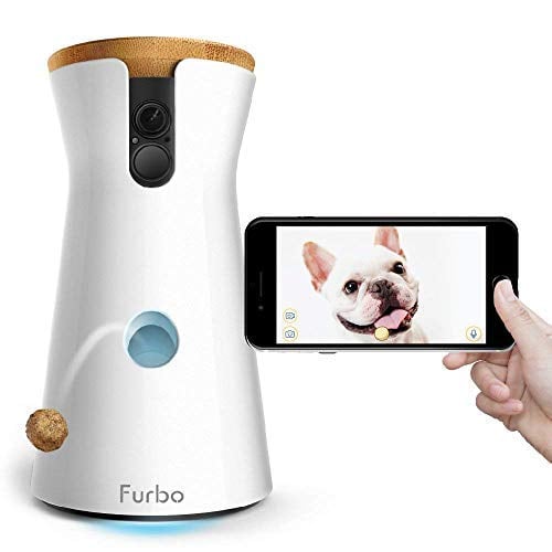 For the Pet-Owner: Furbo Dog Camera