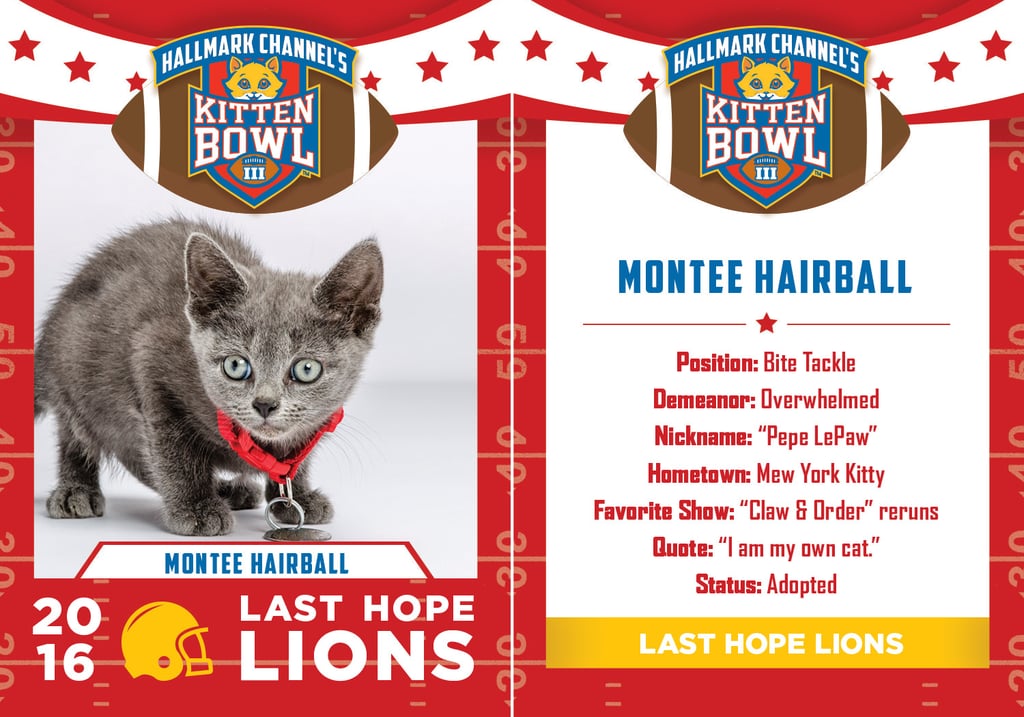 Kitten Bowl 2016