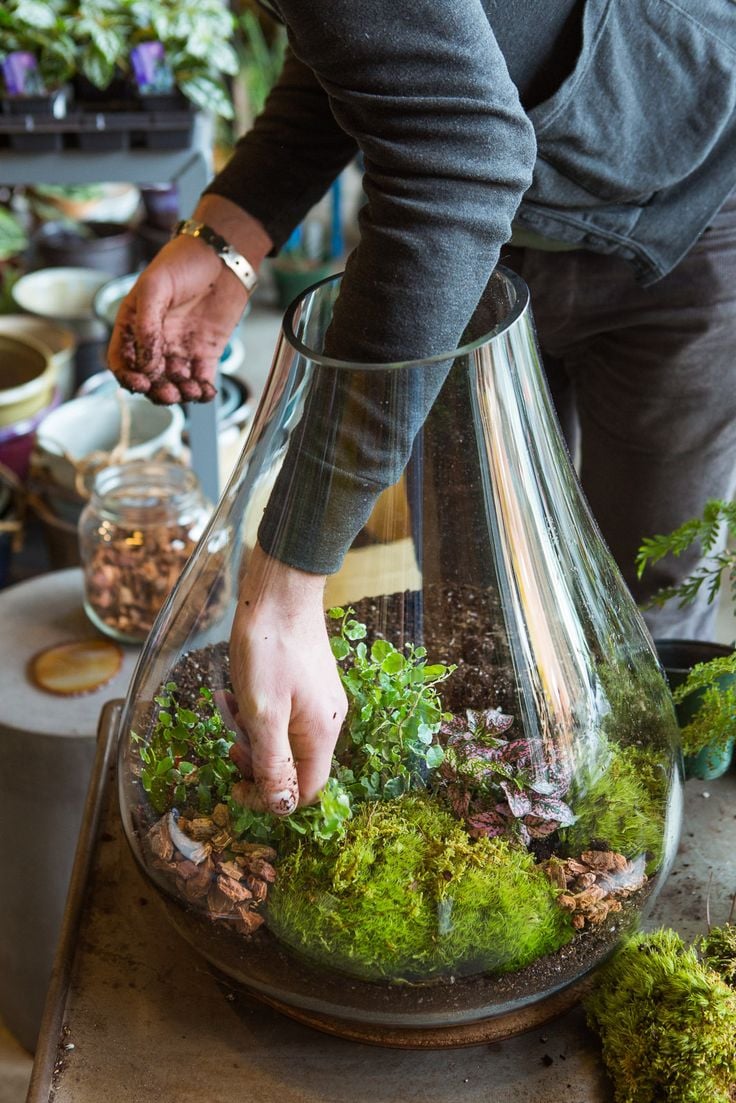 In: Giant Terrariums