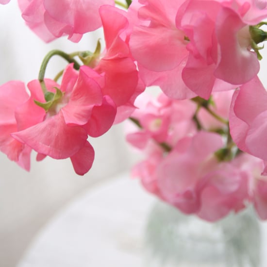 What Are Birth Flowers?