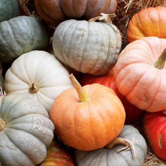 Pumpkin-Scented Beauty Products