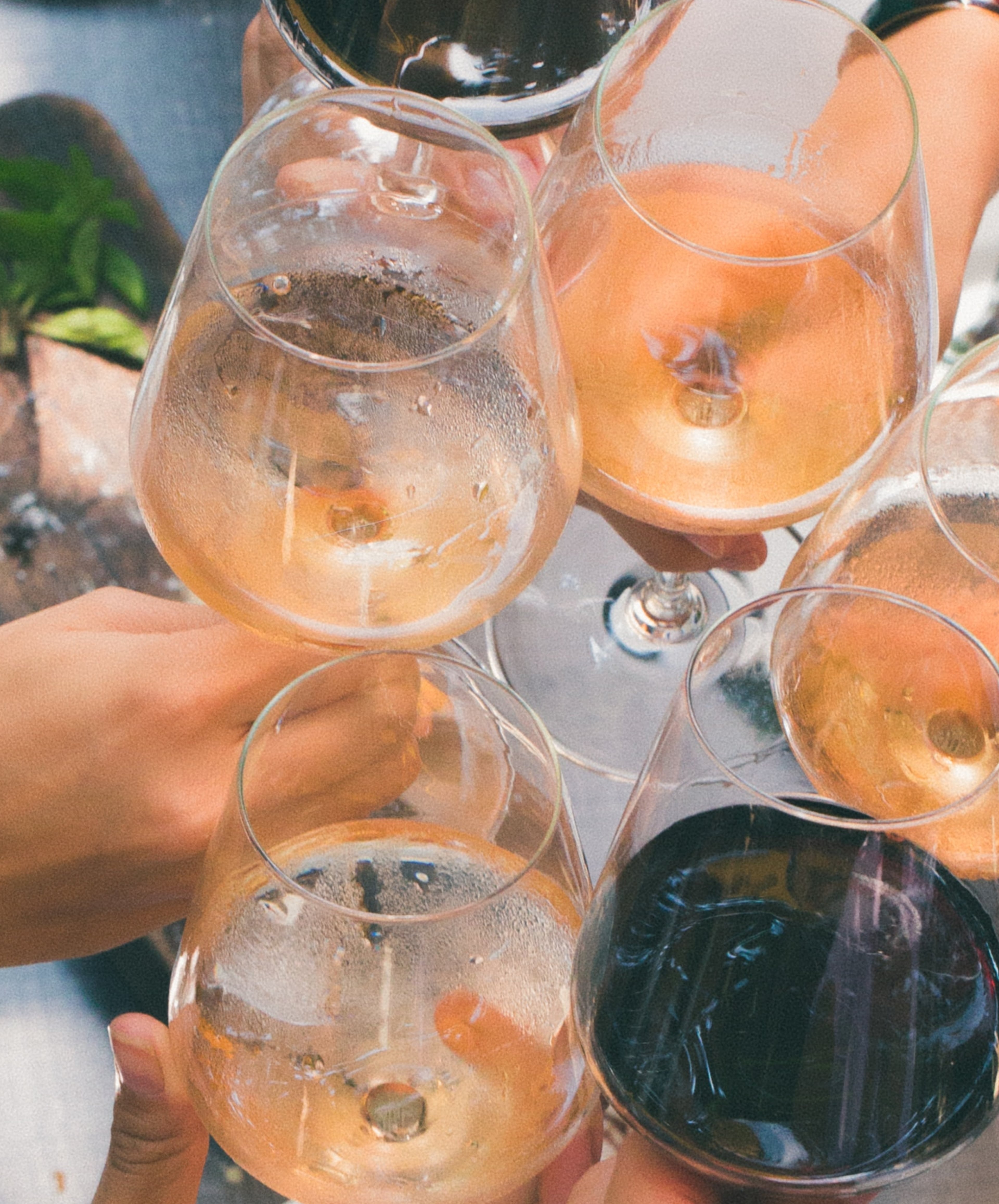 Can You Drink Wine on a LowCarb Diet? POPSUGAR Fitness