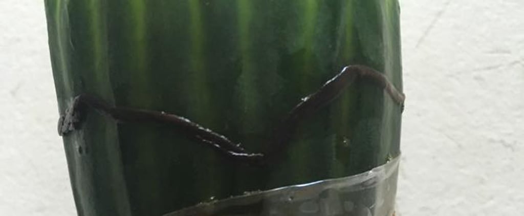 Dead Worm in Cucumber Facebook Post