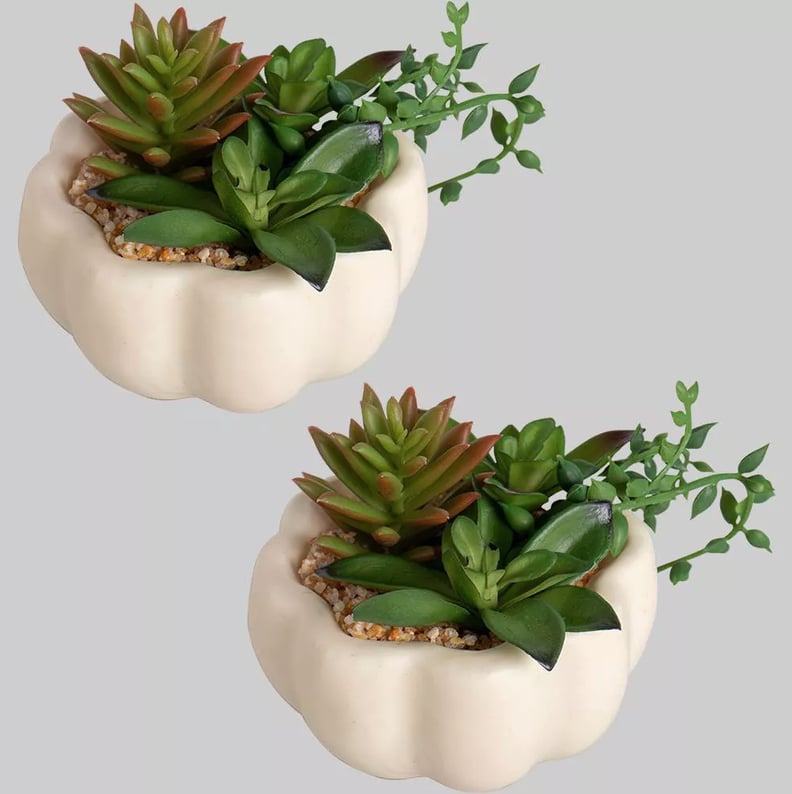 Two-Pack of White Succulent Pumpkins